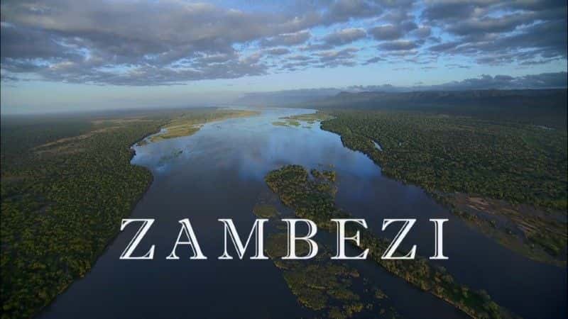 外语原版纪录片《赞比西河 (BBC)/Zambezi (BBC) 》原版无字/外挂字幕 - 纪录片1080P/720P/360P高清标清网盘迅雷下载