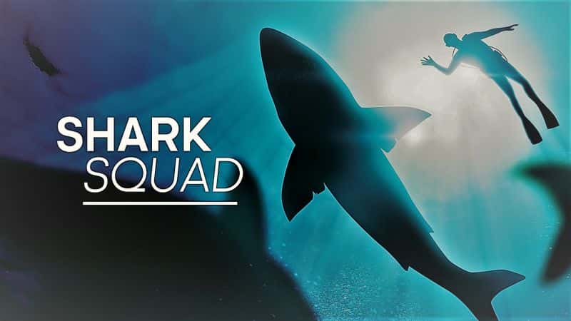 外语原版纪录片《鲨鱼小队：系列 1/Shark Squad: Series 1 》原版无字/外挂字幕 - 纪录片1080P/720P/360P高清标清网盘迅雷下载