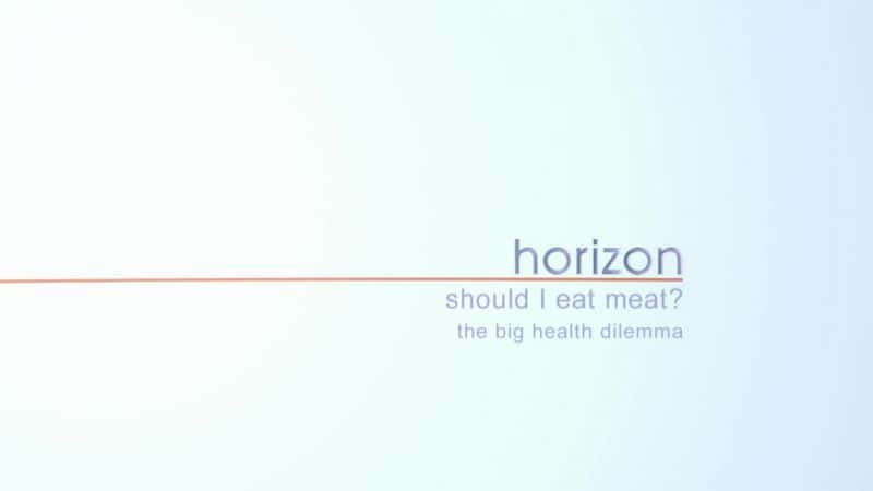 外语原版纪录片《我应该吃肉吗：健康的大困境/Should I Eat Meat: The Big Health Dilemma 》原版无字/外挂字幕 - 纪录片1080P/720P/360P高清标清网盘迅雷下载
