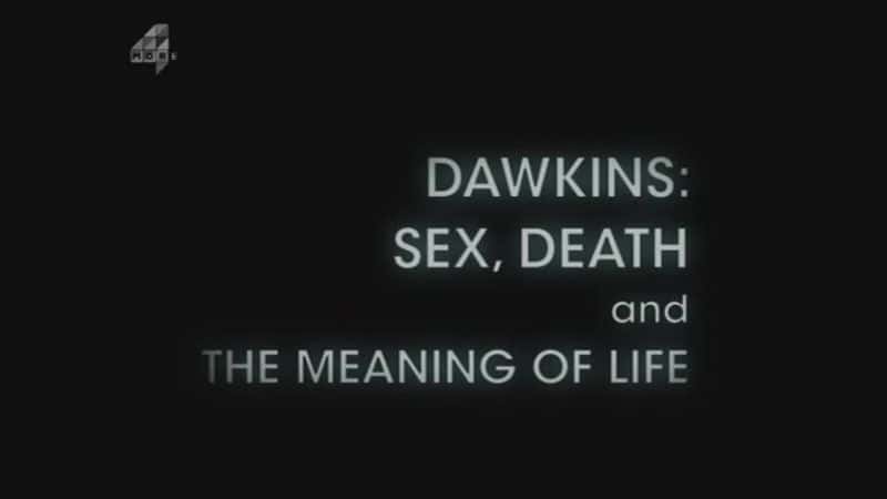外语原版纪录片《性死亡与生命的意义/Sex Death and the Meaning of Life 》原版无字/外挂字幕 - 纪录片1080P/720P/360P高清标清网盘迅雷下载