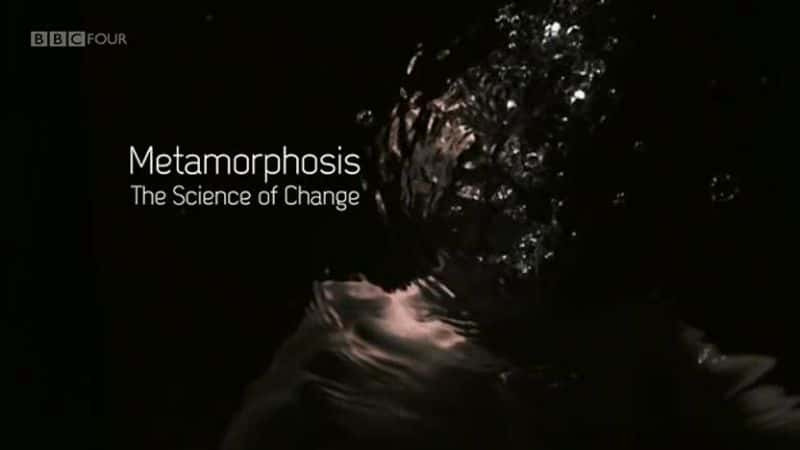 外语原版纪录片《蜕变：变化的科学/Metamorphosis: The Science of Change 》原版无字/外挂字幕 - 纪录片1080P/720P/360P高清标清网盘迅雷下载