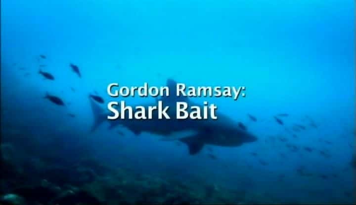外语原版纪录片《鲨鱼诱饵/Shark Bait 》原版无字/外挂字幕 - 纪录片1080P/720P/360P高清标清网盘迅雷下载