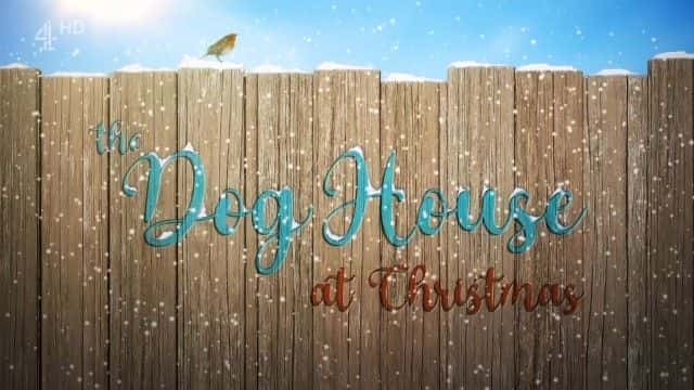 外语原版纪录片《2022 年圣诞节的狗屋/The Dog House at Christmas 2022 》原版无字/外挂字幕 - 纪录片1080P/720P/360P高清标清网盘迅雷下载