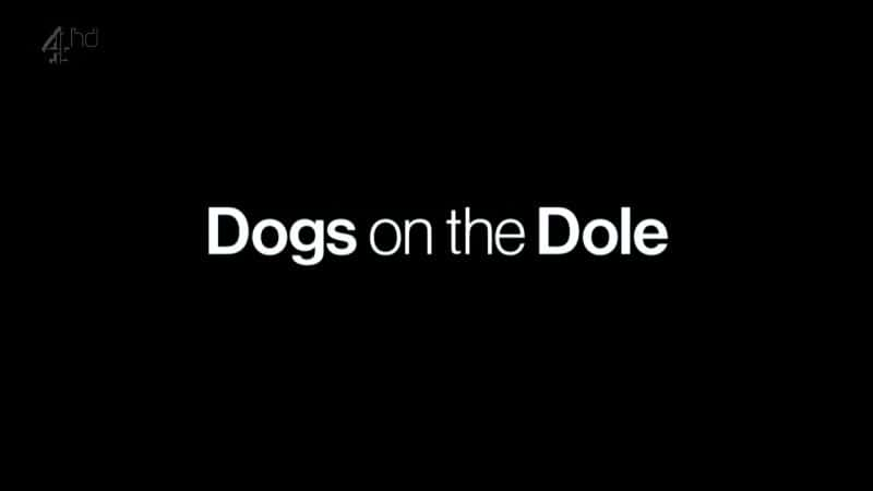 外语原版纪录片《救济金上的狗/Dogs on the Dole 》原版无字/外挂字幕 - 纪录片1080P/720P/360P高清标清网盘迅雷下载