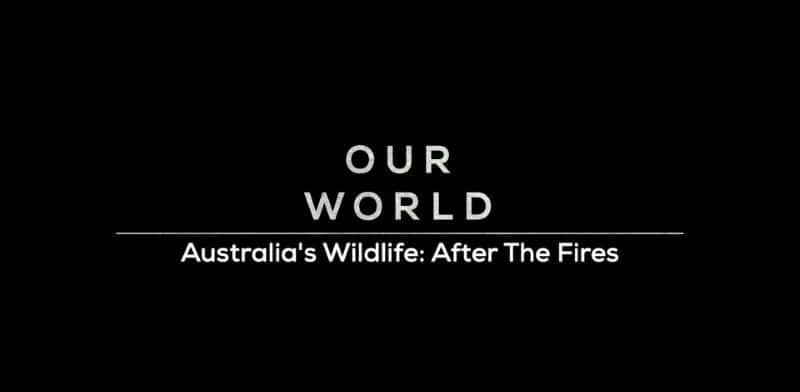 外语原版纪录片《澳大利亚的野生动物：大火过后/Australia's Wildlife: After the Fires 》原版无字/外挂字幕 - 纪录片1080P/720P/360P高清标清网盘迅雷下载
