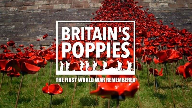 外语原版纪录片《英国的罂粟花：第一次世界大战的记忆/Britain's Poppies: The First World War Remembered 》原版无字/外挂字幕 - 纪录片1080P/720P/360P高清标清网盘迅雷下载