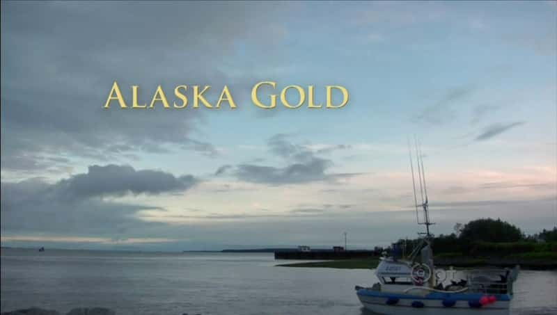 外语原版纪录片《阿拉斯加黄金/Alaska Gold 》原版无字/外挂字幕 - 纪录片1080P/720P/360P高清标清网盘迅雷下载