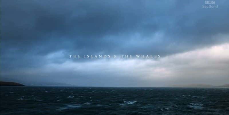 外语原版纪录片《群岛和鲸鱼 (BBC)/The Islands and the Whales (BBC) 》原版无字/外挂字幕 - 纪录片1080P/720P/360P高清标清网盘迅雷下载