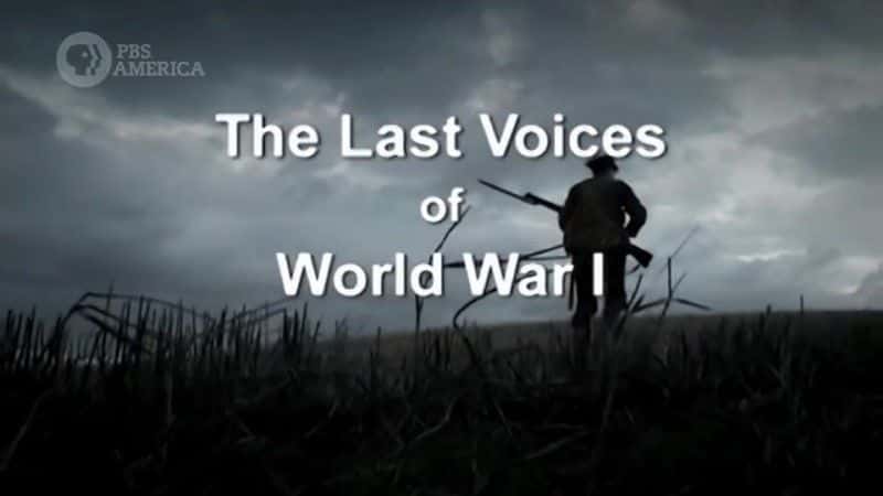 外语原版纪录片《第一次世界大战的最后声音/The Last Voices of World War One 》原版无字/外挂字幕 - 纪录片1080P/720P/360P高清标清网盘迅雷下载