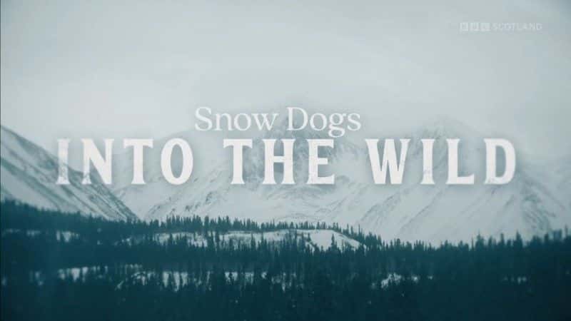 外语原版纪录片《雪狗：进入野外/Snow Dogs: Into the Wild 》原版无字/外挂字幕 - 纪录片1080P/720P/360P高清标清网盘迅雷下载