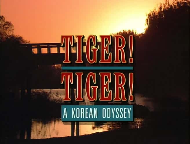 外语原版纪录片《Tiger Tiger - 韩国奥德赛/Tiger Tiger - A Korean Odyssey 》原版无字/外挂字幕 - 纪录片1080P/720P/360P高清标清网盘迅雷下载