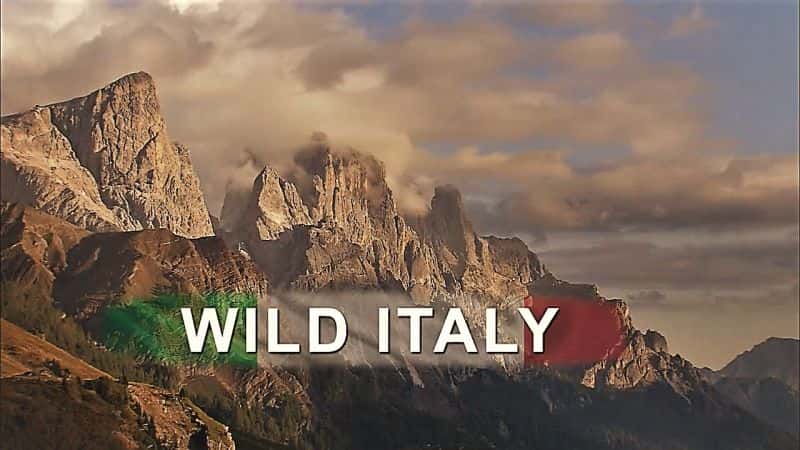 外语原版纪录片《狂野意大利：系列 1/Wild Italy: Series 1 》原版无字/外挂字幕 - 纪录片1080P/720P/360P高清标清网盘迅雷下载