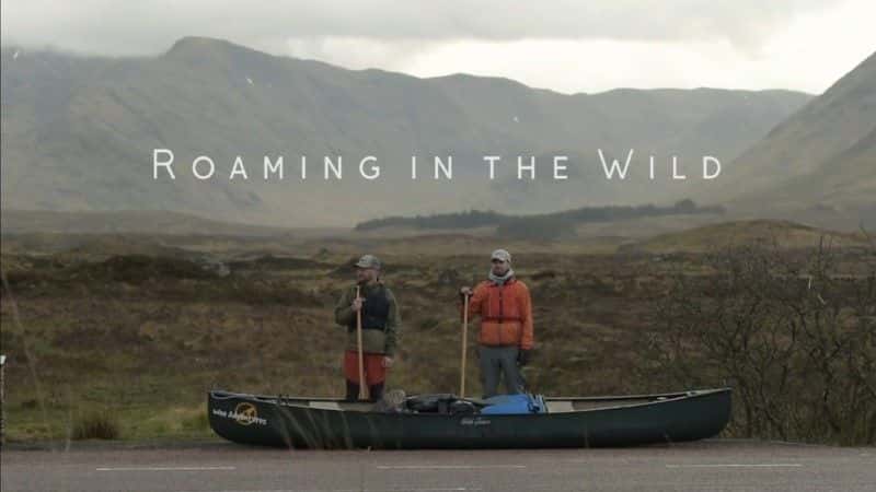 外语原版纪录片《漫游野外系列1/Roaming in the Wild Series 1 》原版无字/外挂字幕 - 纪录片1080P/720P/360P高清标清网盘迅雷下载