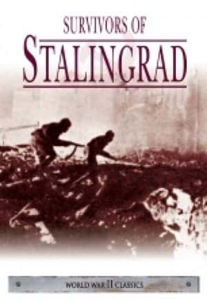 外语原版纪录片《斯大林格勒幸存者/Survivors of Stalingrad 》原版无字/外挂字幕 - 纪录片1080P/720P/360P高清标清网盘迅雷下载