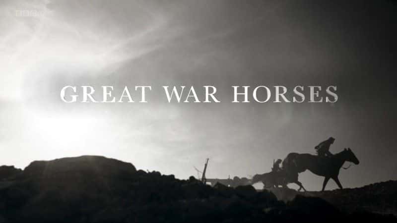 外语原版纪录片《伟大的战马/Great War Horses 》原版无字/外挂字幕 - 纪录片1080P/720P/360P高清标清网盘迅雷下载