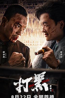 中国大陆电影动作片《打黑》(2024)[1080P][超清][BT下载]