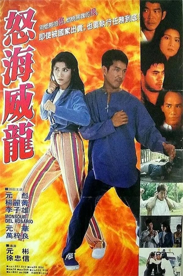 香港电影动作片《怒海威龙》(1995)[1080P][超清][BT下载]