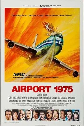 美国电影动作片《国际机场1975 Airport 1975》(1974)[1080P][超清][BT下载]