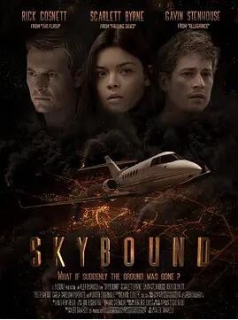 美国电影动作片《失控天际 Skybound》(2017)[1080P][超清][BT下载]