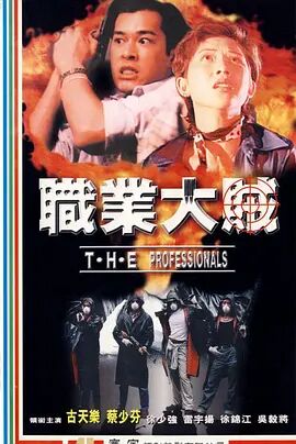 香港电影动作片《职业大贼 職業大賊》(1998)[1080P][超清][BT下载]