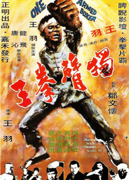 台湾电影动作片《独臂拳王 獨臂拳王》(1972)[1080P][超清][BT下载]