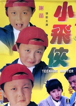 中国大陆电影动作片《小飞侠 小飛俠》(1995)[1080P][超清][BT下载]