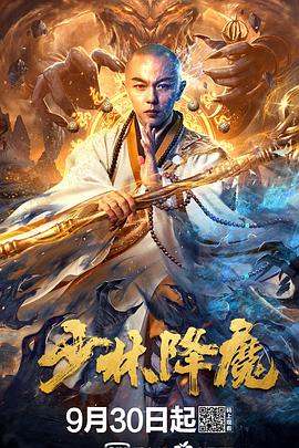 中国大陆电影动作片《少林降魔》(2019)[1080P][超清][BT下载]