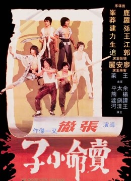 中国大陆电影动作片《卖命小子 賣命小子》(1979)[1080P][超清][BT下载]