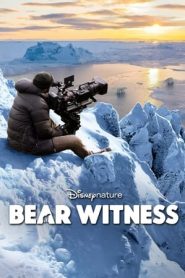 美国电影纪录片《极地熊踪 Bear Witness》(2022)[1080P][超清][BT下载]