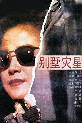 中国大陆电影动作片《别墅灾星》(1991)[1080P][超清][BT下载]