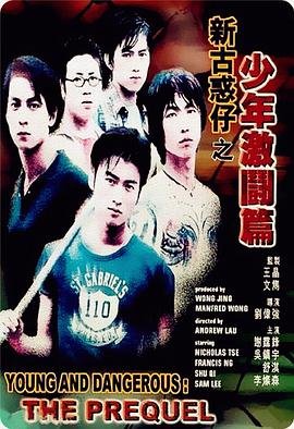 香港电影动作片《少年激斗篇 新古惑仔之少年激鬪篇》(1998)[1080P][超清][BT下载]