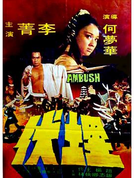 中国大陆电影动作片《埋伏》(1973)[1080P][超清][BT下载]