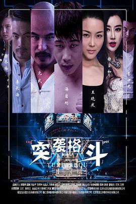 中国大陆电影动作片《突袭格斗》(2015)[1080P][超清][BT下载]