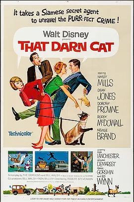 美国电影喜剧片《那只讨厌的猫 That Darn Cat!》(1965)[1080P][超清][BT下载]