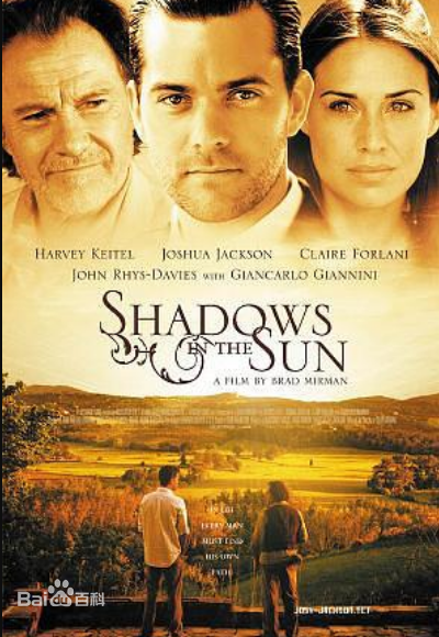 法国电影喜剧片《影舞者 Shadows In The Sun》(2005)[1080P][超清][BT下载]