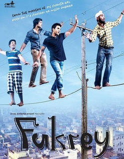 印度电影喜剧片《弗克利 Fukrey》(2013)[1080P][超清][BT下载]