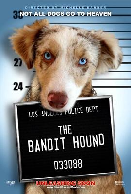 美国电影喜剧片《猎犬强盗 The Bandit Hound》(2016)[1080P][超清][BT下载]