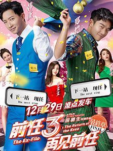 中国大陆电影喜剧片《前任3再见前任 前任3：再见前任》(2017)[1080P][超清][BT下载]