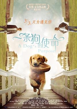 美国电影喜剧片《一条狗的使命 A Dog's Purpose》(2017)[1080P][超清][BT下载]