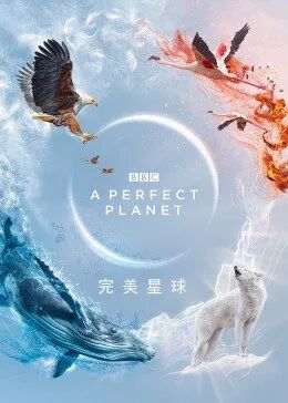 英国综艺《完美星球 A Perfect Planet》(2020)[1080P][超清][BT下载]