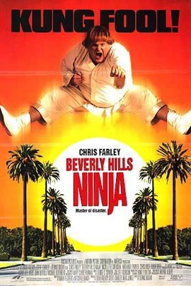 美国电影喜剧片《比佛利武士 Beverly Hills Ninja》(1997)[1080P][超清][BT下载]