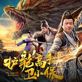 中国大陆电影喜剧片《护龙高手卫小保》(2018)[1080P][超清][BT下载]