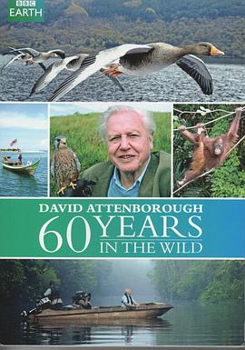 英国综艺《大卫爱登堡野外探索60年 Attenborough: 60 Years in the Wild》(2012)[1080P][超清][BT下载]