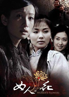 中国大陆连续剧国产剧《女人花》(2007)[1080P][超清][BT下载]