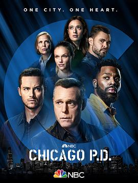 美国连续剧欧美剧《芝加哥警署 第九季 Chicago P.D. Season 9》(2021)[1080P][超清][BT下载]