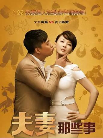 中国大陆连续剧国产剧《夫妻那些事》(2012)[1080P][超清][BT下载]