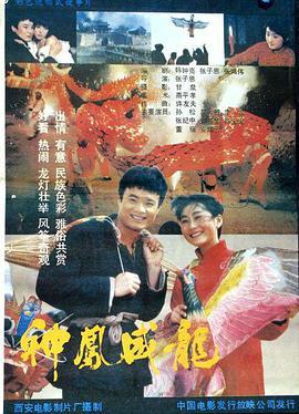 中国大陆电影战争片《神凤威龙》(1988)[1080P][超清][BT下载]