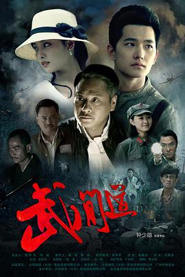 中国大陆连续剧国产剧《终极征服》(2013)[1080P][超清][BT下载]