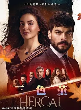 英国连续剧海外剧《三色堇 第二季 Moffie》(2019)[1080P][超清][BT下载]