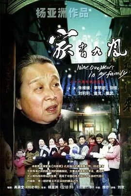 中国大陆连续剧国产剧《家有九凤》(2005)[1080P][超清][BT下载]